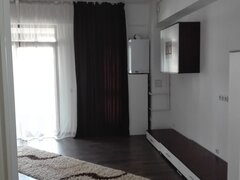 Camil Ressu, Park Lake Mall